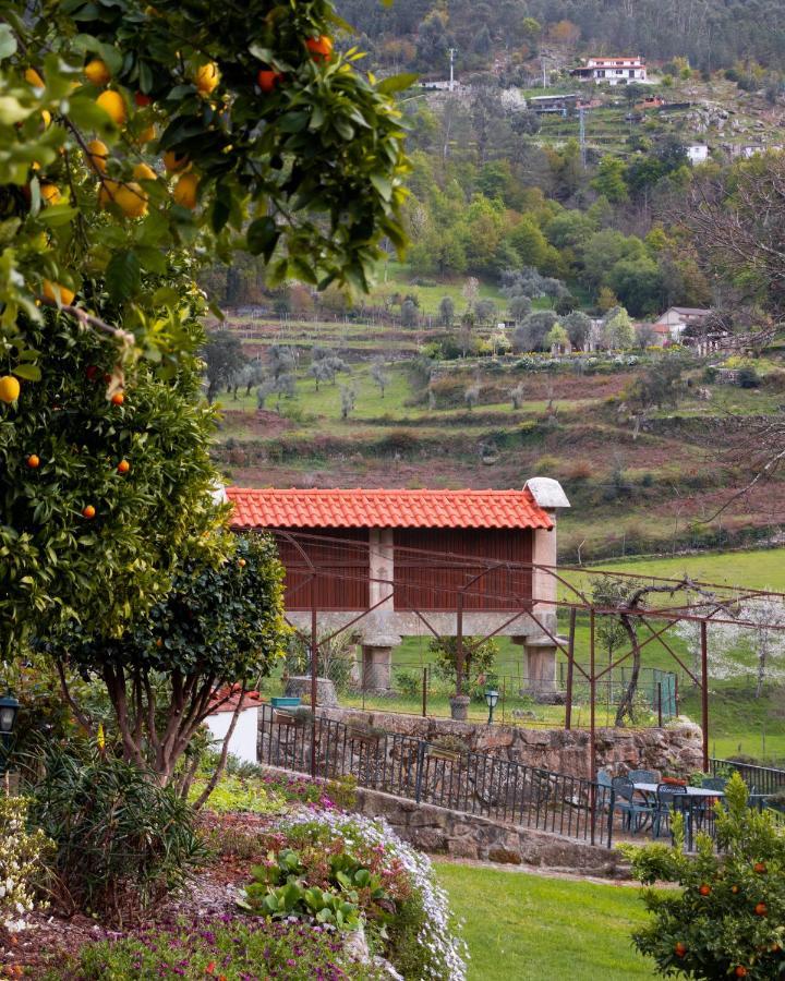 Quinta Do Tapadinho - Wine & Tourism Villa Moimenta Dış mekan fotoğraf