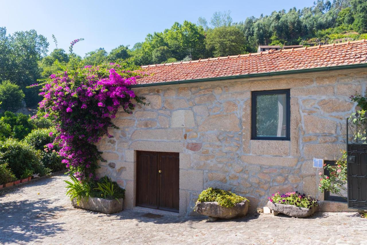 Quinta Do Tapadinho - Wine & Tourism Villa Moimenta Dış mekan fotoğraf